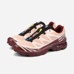【20%OFF】 SALOMON XT-6 GTX サロモン エックスティー 6 ゴアテックス メンズ レディース MAHOGANY ROSE/TAWNY PORT/BLACK ベージュ L47863700