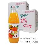 ショッピングお歳暮 みかんジュース 愛媛 伯方果汁 えひめのみかんジュース 瓶 １Ｌ まとめ買い 6入×2箱  計12本 ミカンジュース 蜜柑ジュース