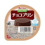 やさしくラクケア　20kcalチョコプリン /60g