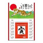 新日本カレンダー 2022年 カレンダー 日めくり 岡本肇 寅台紙付カレンダー NK8811