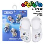  Crocs ji Bit'z One-piece 5 упаковка crocs JIBBITZ ONE PIECE 5PACK 10018776