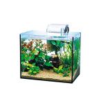 テトラ (Tetra) ガラス 水槽 オールグラスアクアリウム GA-300F 水槽 アクアリウム 熱帯魚 メダカ 金魚