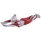 BANDAI Movie Monstar серии Ultraman (sin* Ultraman ) полет ver.