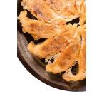 ショッピング餃子 餃子 取り寄せ 冷凍餃子 お取り寄せグルメ ぎょうざ 冷凍 美食点心ぎょうざ館 黒餃子&本餃子セット（16人前／96個）