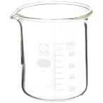 Sibata 柴田科学 ビーカー 100mL 010020-100A 1個