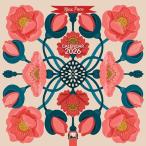 Nina Pace Wall Calendar 2026 (Art Calendar)