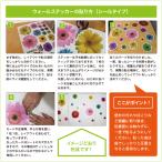 ウォールステッカー タイポグラフィ 英文 文字 英字 フォント 英語 デザイン 北欧 シール 壁紙 かわいい おしゃれ Buyee Buyee Japanese Proxy Service Buy From Japan Bot Online