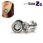 [ в тот же день отгрузка ]2G серьги пирсинги свежий тоннель Star звезда цвет большой штекер металл аллергия соответствует 316L высокое качество нержавеющая сталь присоединение .. нет повышение 