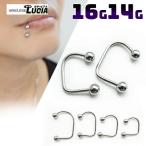 [ в тот же день отгрузка ]14G 16G серьги пирсинги la Brett lipi- петля балка TIKKA ru "губа" вертикальный "губа" металл аллергия соответствует 316L высокое качество . серьги 