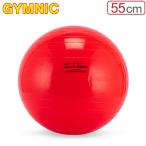 【並行輸入品】 バランスボール ギムニク Gymnic 55cm Gymnic Classic 55 ギムニククラッシック 95.55 体幹 バランス