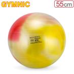 【並行輸入品】 バランスボール ギムニク Gymnic 55cm アルテ55 95.35 マルチカラー ( マーブル ) Gymnic Arte 55