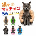 2026 новый кошка мускл arm 3d принт - кошка Match ., Halloween интересный кошка одежда мускул, кошка товары | кошка мускул реквизит, Halloween домашнее животное костюм кошка hi-ro