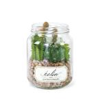 e прозрачный дезодорация a-tifi автомобиль ru зеленый много мясо ja- модель L / KH-61021kisima