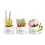 e прозрачный дезодорация a-tifi автомобиль ru зеленый много мясо 3 шт. комплект / KH-61188kisima