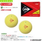  Dunlop soft теннис мяч [ имя inserting ]1 дюжина [2 лампочка ввод ×6 пакет ] Dunlop soft теннис мяч легализация лампочка желтый DSTBYL2TIN