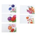 横型イラスト花の種子 500個販売 花の種