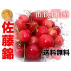  вишня Sato . Yamagata производство ( стандартный ./ превосходящий товар /L размер /1kg)sa Clan bo подарок на Bon Festival подарок .. бесплатная доставка прямая поставка от производителя утро ..