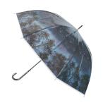☆ 02.星空 ☆ エモーシブルアンブレラ 長傘 レディース 傘 カサ かさ 親骨60CM 60CM ジャンプ式 8本骨 ビニール傘 雨傘 おしゃれ かわいい