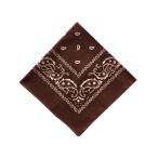 * CHOCO * PAISLEY BANDANNA van da Nascar f рисунок BANDANNA маска носовой платок ta- van шляпа модный стандартный дисплей аксессуары 