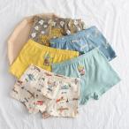 ☆ B563タイプ ☆ 10-12 ☆ ショーツ 5枚 pmy0706 ショーツ キッズ 5枚組 セット 男の子 トランクス ブリーフ パンツ キッズショーツ 下着