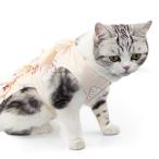 * кошка * M размер * кошка . после одежда ya001 кошка . после одежда одежда .. царапина облизывание предотвращение рука . после ветеринарный воротник. замена европейская одежда одежда . после одежда кожа защита 