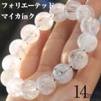 写真現品１点物 フォリエーテッド�