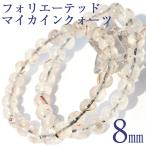 新商品お試し クリアフォリエーテ�