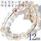 新商品お試し クリアフォリエーテ�