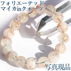 写真現品１点物 フォリエーテッド�