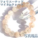 写真現品１点物 フォリエーテッド�