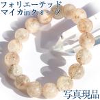 写真現品１点物 フォリエーテッド�