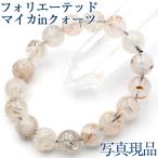 写真現品１点物 フォリエーテッド�