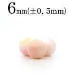 1粒売り 天然石 コンクシェル ピンク 6mm t641
