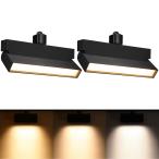 LEONLITE 3CCT 24W Dimmable LED Track Lighting Heads, for H Type  並行輸入品