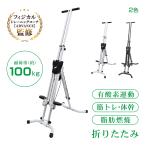 垂直クライマー マシン クライミング フィットネス エクササイズ 折りたたみ式 省スペース 耐荷重100kg 筋トレ 運動 昇降 全身運動 踏み台 ステップ ルーム
