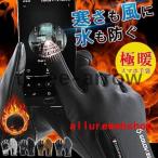  перчатки рука ... перчатка защищающий от холода водоотталкивающий сильнейший велосипед мотоцикл перчатка сенсорный экран соответствует смартфон уличный водоотталкивающий оплата при получении не возможно 