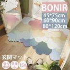 玄関マット 45*75cm 60*90cm 80*120cm 玄関マット 屋外 泥落とし 北欧 洗える 室内 おしゃれ ラバー ゴム 滑り止め 大判 緑系 長方形 花柄 大きめ かわいい 北欧