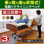 開梱設置付き 電動ベッド 介護ベッド リクライニング 3モーターベッド 組立設置付き 足上げ 腰痛対策 レンタル向け 価格 口コミ ランキング ケア3-ART