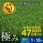 最高ランク 最安値挑戦 人工芝 ロール 1m×10m 芝丈35mm 超高密度47万本芝生 人工 芝 人工芝生 ガーデン DIY 耐候性10年 固定ピン付属 -ART