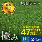 最高ランク 最安値挑戦 人工芝 ロール 2m×5m 芝丈35mm 超高密度47万本芝生 人工 芝 人工芝生 ガーデン DIY 耐候性10年 固定ピン付属 -ART