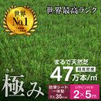 人工芝 芝生 人工芝生 グリーン サッカー 最安値に挑戦 ドッグラン サッカー 超高密度47万本 防草シート一体型 耐候性10年 芝丈35ｍｍ 固定ピン付 2×5ｍロール