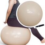  кожа se Tetsujin клуб anti Burst yo Gabor 55 IMC-161LB ( фитбол * диета * тренировка * фитнес * тренировка *IronmanClub)