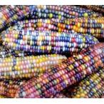  мир редкий красочный . кукуруза вид 25 шарик 