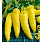 необычный Венгрия желтый цвет красный острый перец вид 6 шарик 