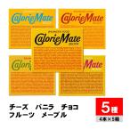  большой . производства лекарство калории Mate блок шоко тест vanilla тест фрукты тест клен тест сыр тест 5 вид комплект аварийный запас 