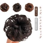 つけ毛 部分ウィッグ ウィッグ 2個�