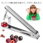 チェリーストーナー サクランボ 種抜き オリーブ オリーブ ストーナー オリーブ種抜き 種取り 器 なつめ サンザシ オリーブストナー さくらんぼの種