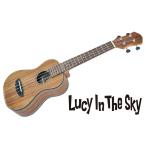 aNueNue (anene) концерт укулеле Mini-Koa ( aNN-MCK )