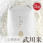 【山梨県産　武川米】 令和4年度 農林48号 よんぱち ヨンパチ 白米 精米 2kg お試しサイズ 南アルプス 北杜市 梨北米 武川米 ご飯 ライス  おこめ