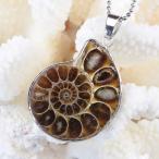 Yahoo! Yahoo!ショッピング(ヤフー ショッピング)アンモナイト ペンダント 化石 Ammonite ネックレス Pendant 天然石 ｜メンズ レディース 海外直輸入価格で販売｜